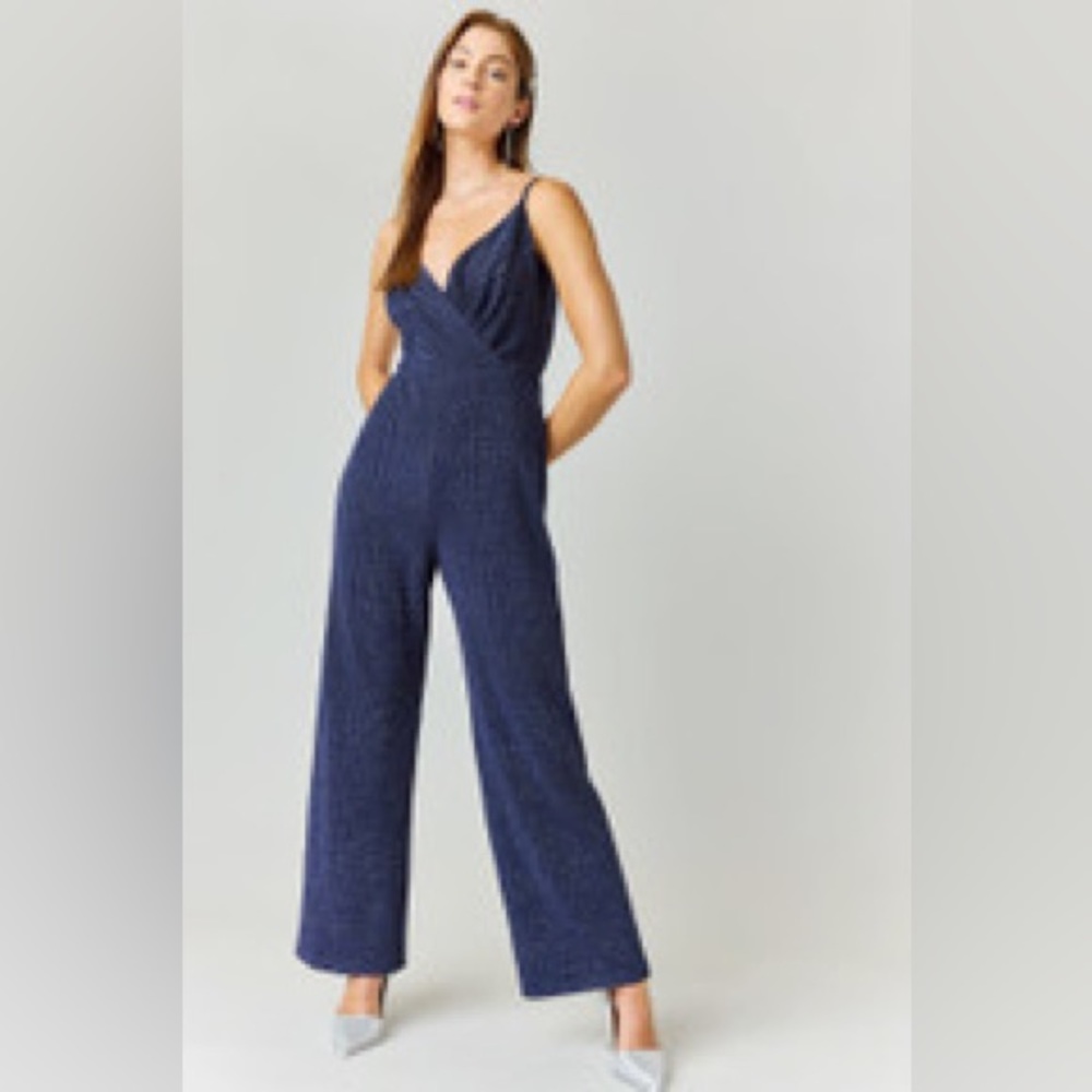 Glitter Knit Jumpsuit in Navy from Francesca’s